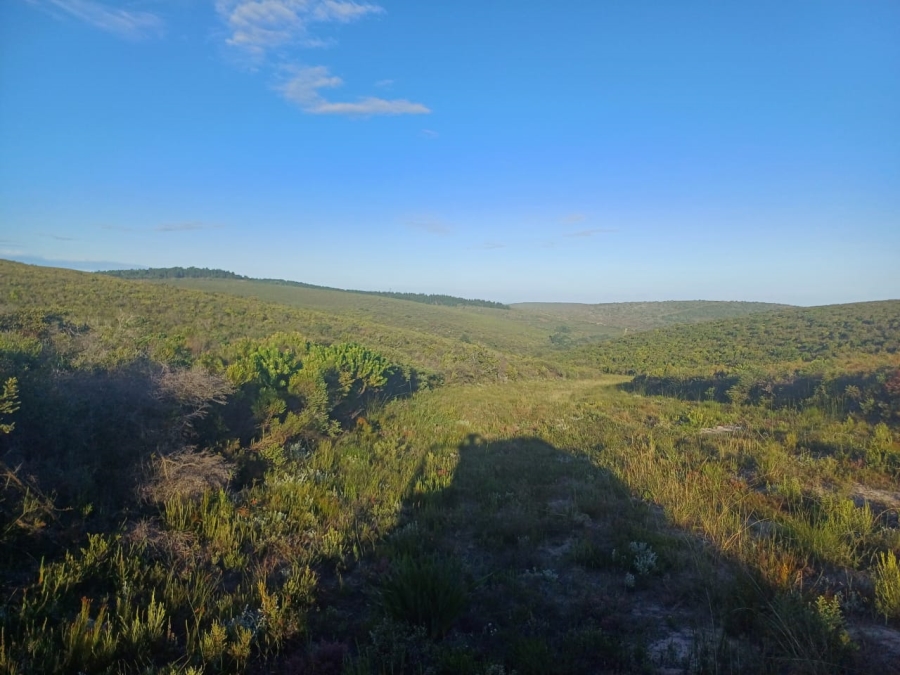 4 Bedroom Property for Sale in Stilbaai Rural Western Cape